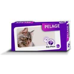Pet-Phos Pelage du chat
