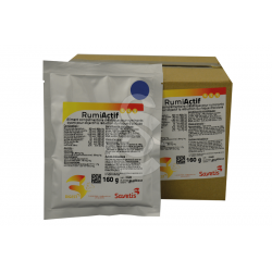 SAVETIS Rumi Actif
