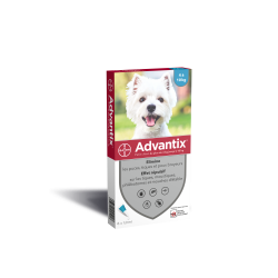 BAYER Advantix Petit Chien de 4 à 10 kg