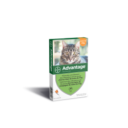 BAYER Advantage 40 Chat/Lapin de moins de 4 kg