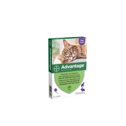 BAYER Advantage 80 Chat/Lapin de plus de 4 kg