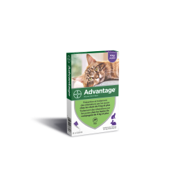 BAYER Advantage 80 Chat/Lapin de plus de 4 kg