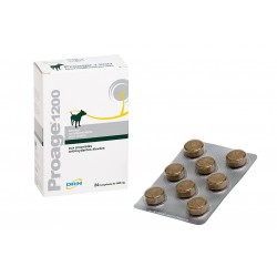 Proage 1200
