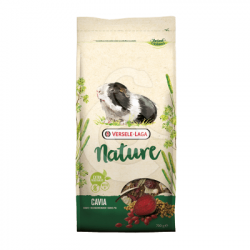 Cavia Nature Cobaye