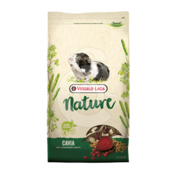 Cavia Nature Cobaye