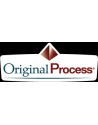 ORIGINAL PROCESS