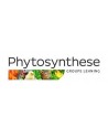 PHYTOSYNTHESE